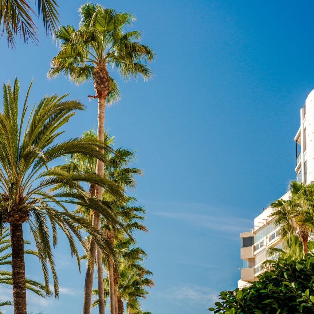 second home management costa del sol