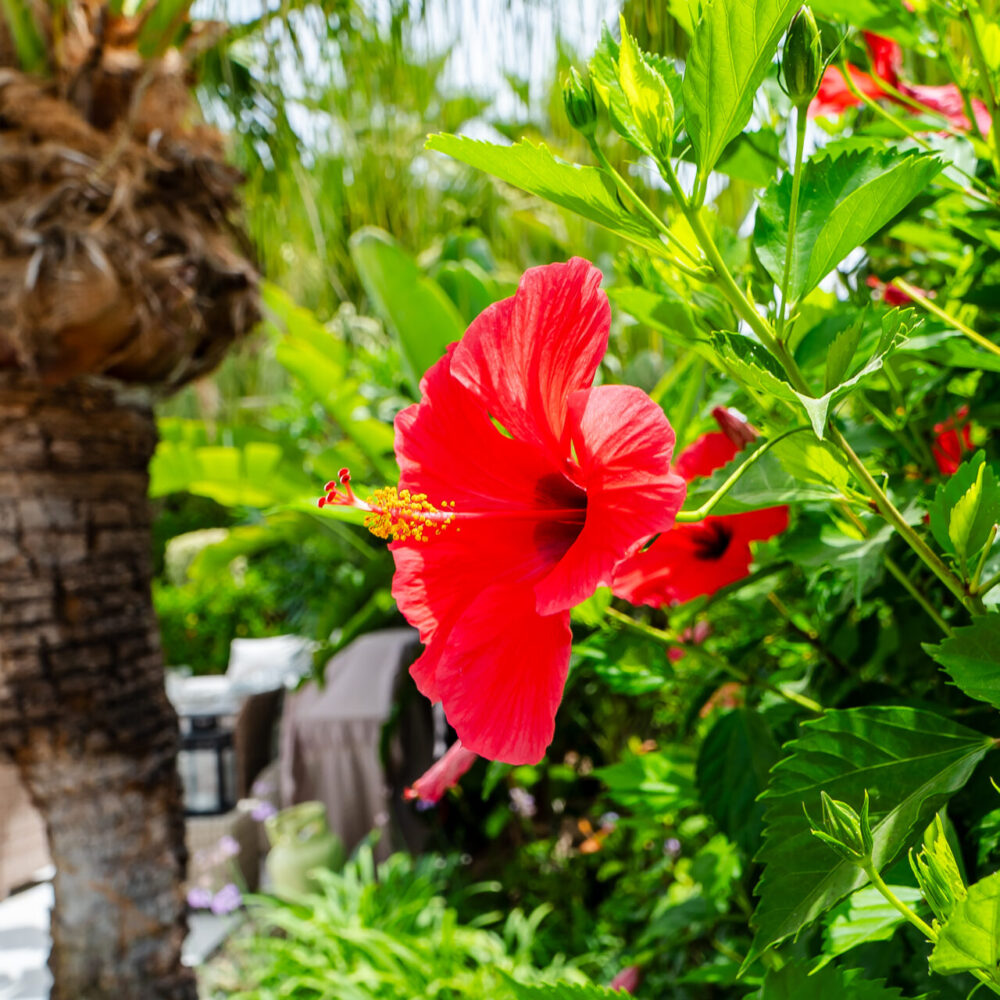 Garde de Clés Marbella