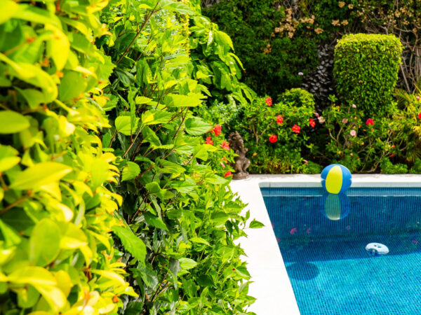 Eco-Friendly Home Maintenance: Nurturing Your Home and the Planet