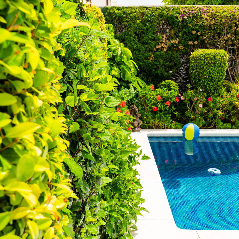 Eco-Friendly Home Maintenance: Nurturing Your Home and the Planet